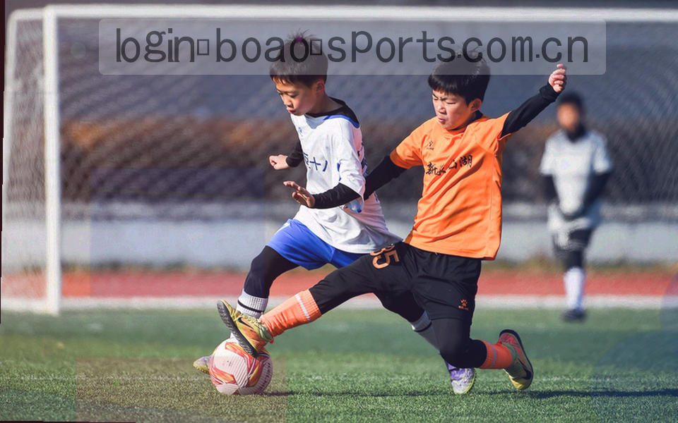 12枚圆形俱乐部徽章排列成两排